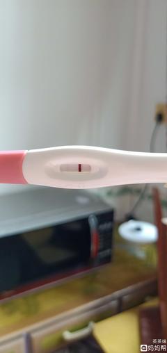怀孕几个月能测出来