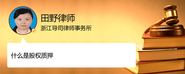 浙江导司律师事务所
