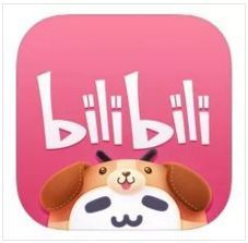 哔哩哔哩大会员