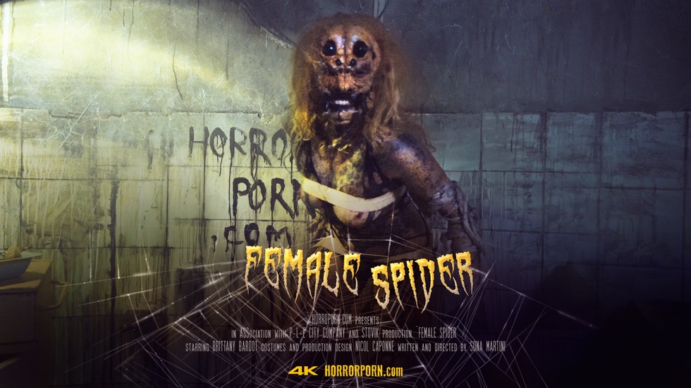 高清版-Female spider雌蜘蛛