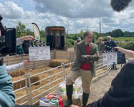 How Are You? It's Alan (Partridge)