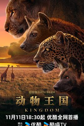 动物王国 第一季