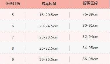 足月孕的宫高和腹围标准是多少