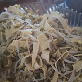 煮绿豆皮的做法大全家常