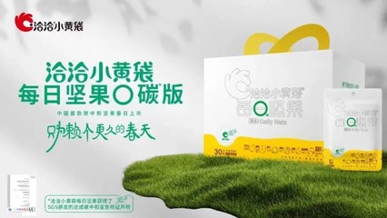 金龍魚品牌誕生于哪一年幾月幾日：金龍魚品牌是哪里生產(chǎn)的 廣州龍魚批發(fā)市場