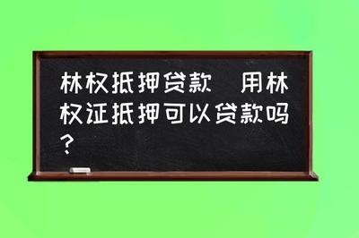 林权可以抵押贷款吗