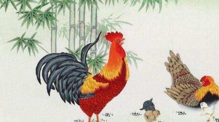 鸡属相年份