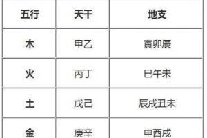 怎么查询自己是什么命