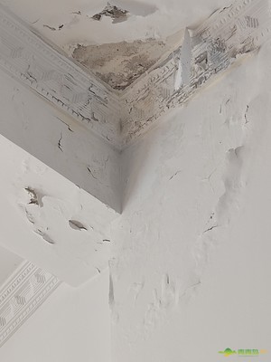房屋防水保修期