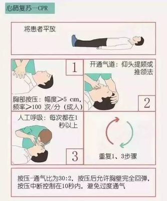 间断呼吸每分钟多少次