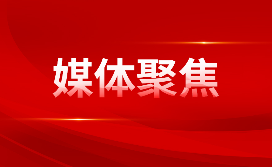 千赢体育国际官网芯片展示图片