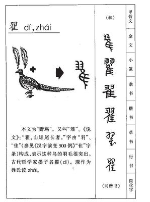 翟五行属什么