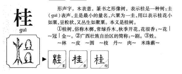 桂字属于五行属什么