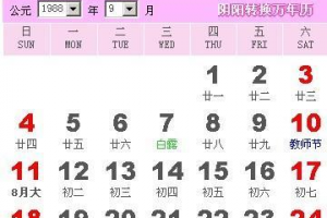 1988年10月18日是什么星座