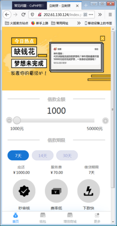 小额网络贷款平台