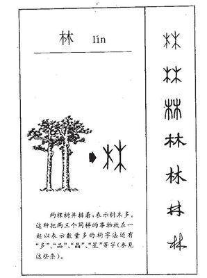 取名林字的含义