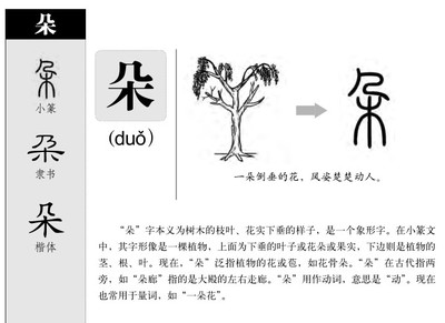 朵字五行属什么