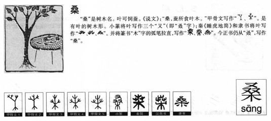源字五行属什么