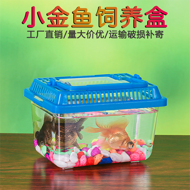装小乌龟的塑料缸