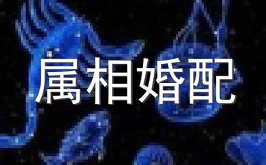 正月出生的猴的婚姻