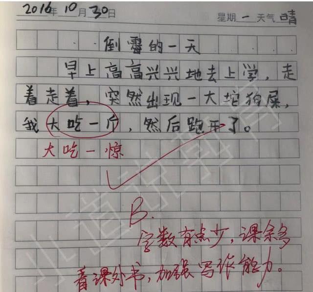 我想对姥姥说450字作文怎么写