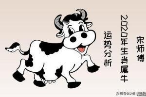 72年今年多大