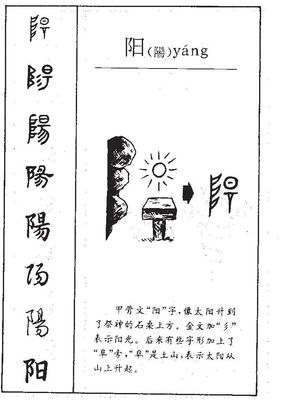 阳字五行属什么的
