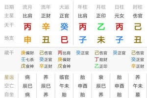 女命伤官格什么意思