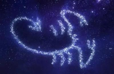 214什么星座