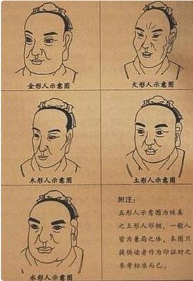 木形人的面相特征