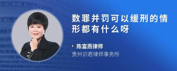 数罪并罚可以缓刑吗