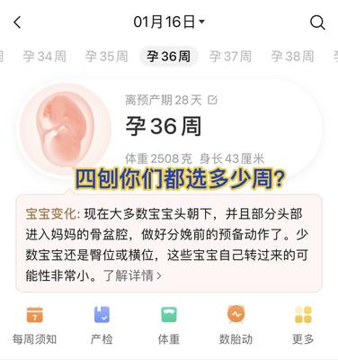 孕妇多少周补充维生素