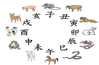 十二生肖最好的属相