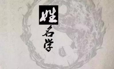 五行缺水木的名字