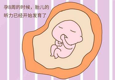 胎儿几个月发育听力
