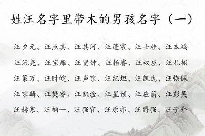 姓汪的男孩取什么名字好