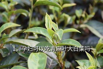 孕妇可以吃麻叶吗