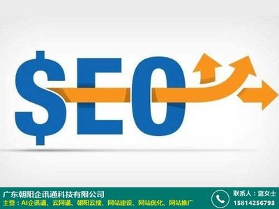 湖南网站优化技巧 按天 SEO 专业 企业 朝阳企讯通