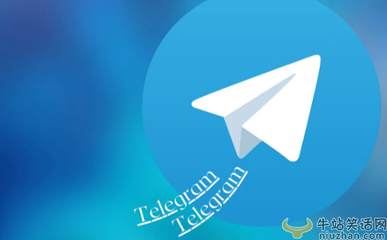 纸飞机app软件下载官网