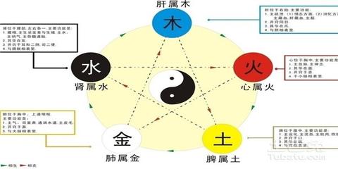 男人五行缺水怎么办