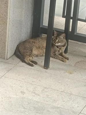 心一阵阵慌是怎么回事