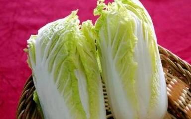 白菜减肥法一周减20斤