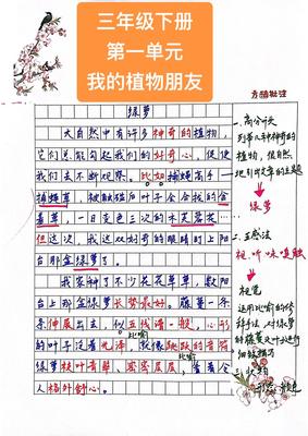 三年级我的外貌作文怎么写