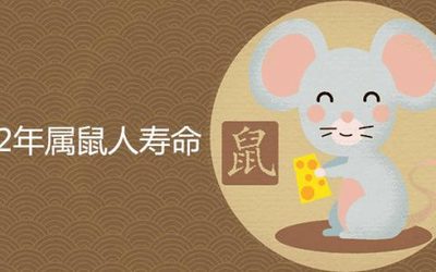 鼠宝宝好不好