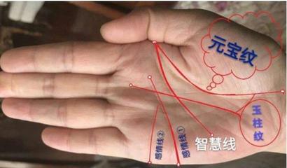 元宝纹手相的命运女人