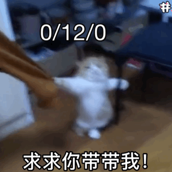 电脑求求别睡表情