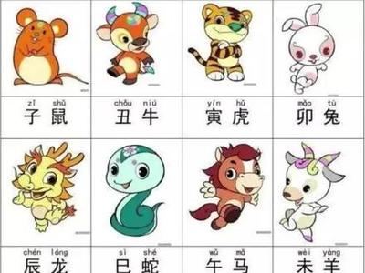 兔相克的生肖