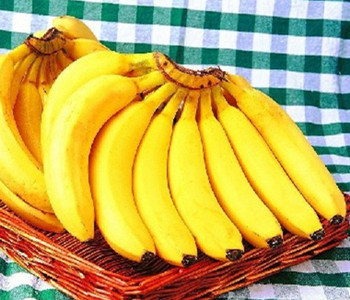 孕妇能吃香蕉吗
