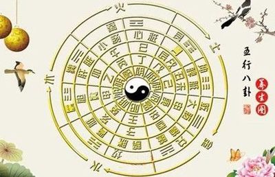 怎么看宝宝五行缺什么