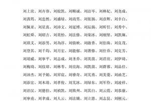 刘姓男宝宝起名